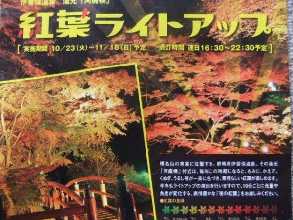 Hotel Ikaho Ginsui Shibukawa Екстериор снимка